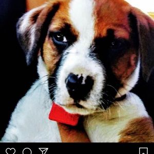 Meet your Posher, Jesus